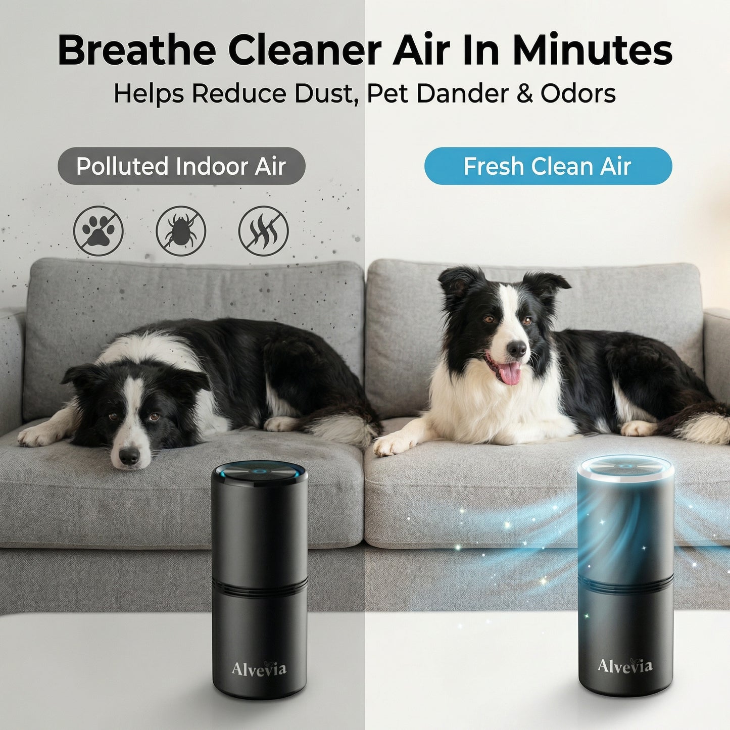 Alvevia™ Ionic Air Purifier
